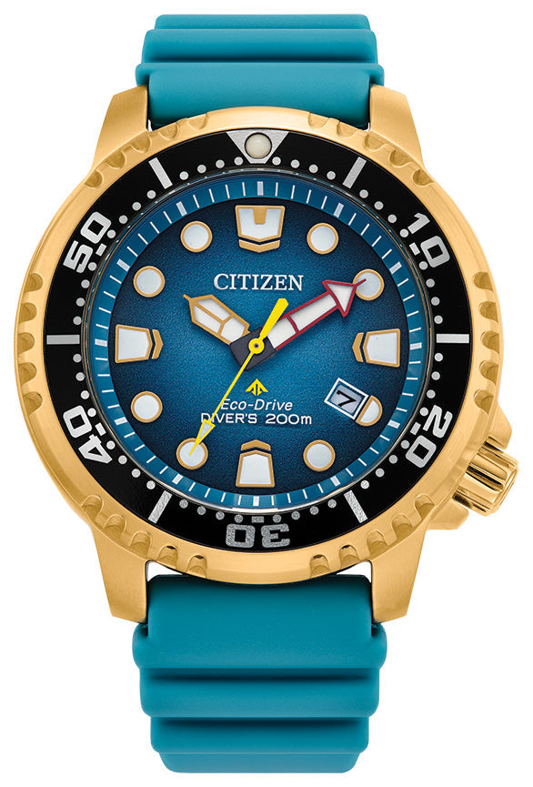 CITIZEN PROMASTER DIVE BN0162-02X – Watch Warehouse Calgary