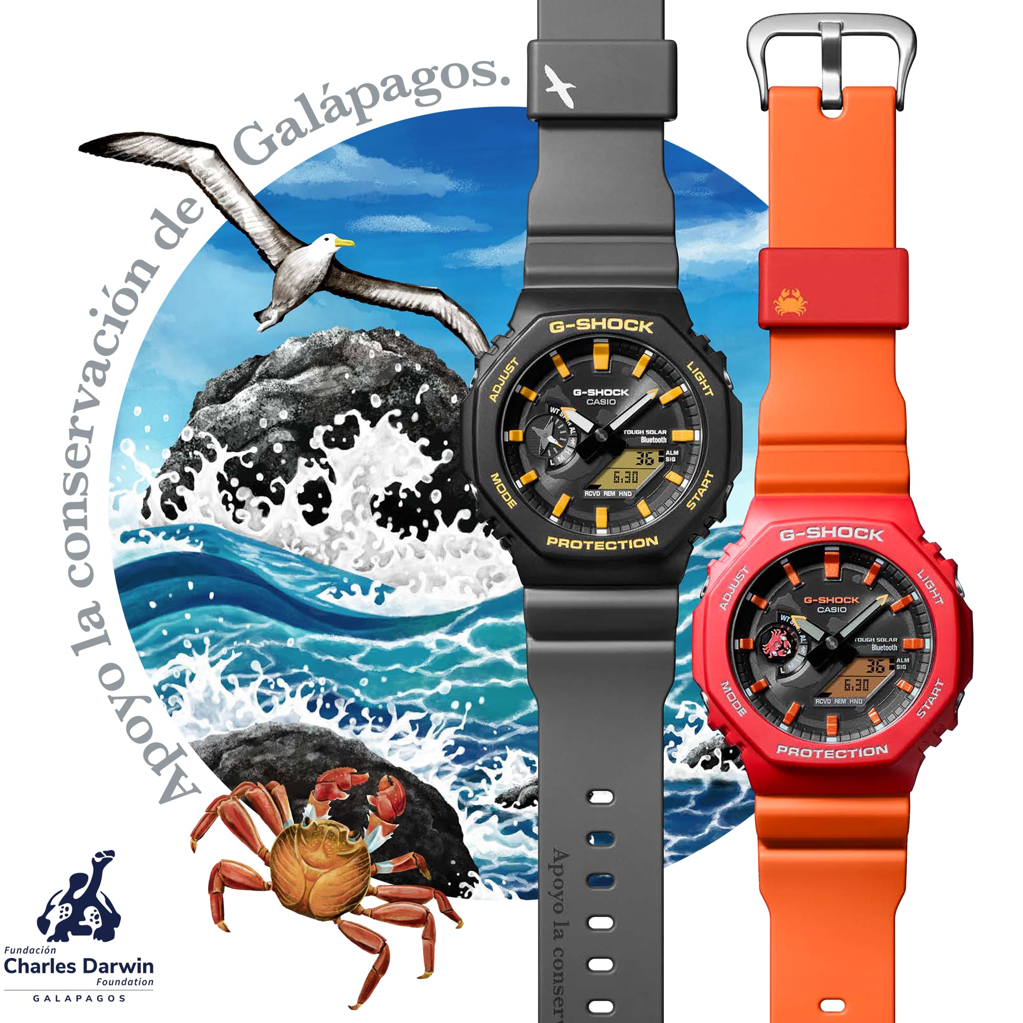 CASIO ANALOG-DIGITAL 2100 Series GA-B2100DF-1A – Watch Warehouse